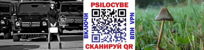 Галлюциногенные грибы Magic Shrooms  Первоуральск 